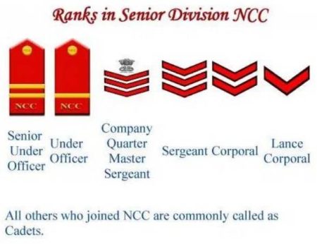 Ranks in Senior Division NCC